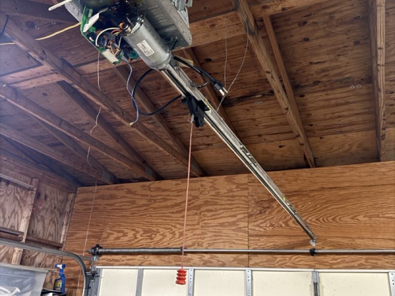 IMG_2537 Large IMG_2537 Large